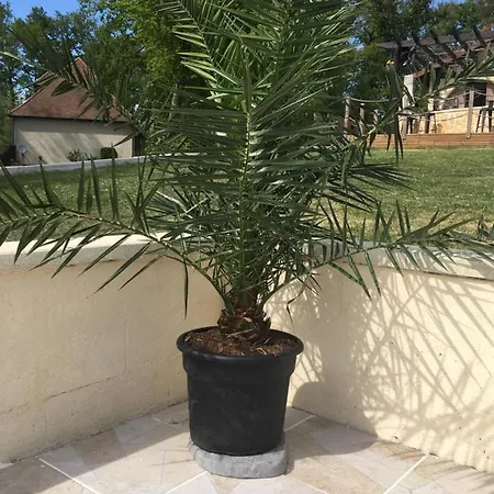 La Forestine Daire Bergerac