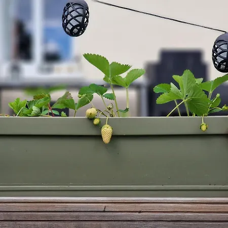 La Forestine Appartement
