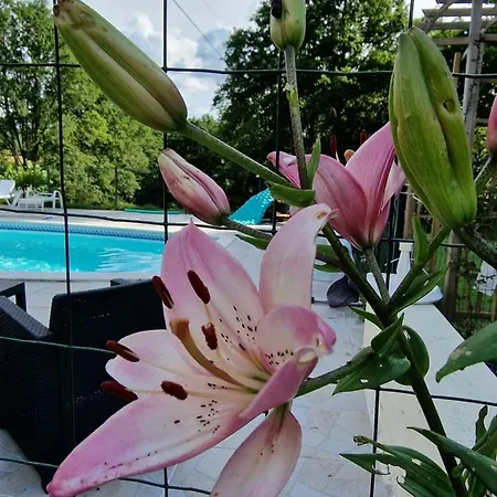 Daire La Forestine *