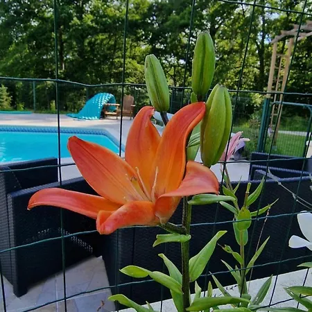 Appartement La Forestine Bergerac
