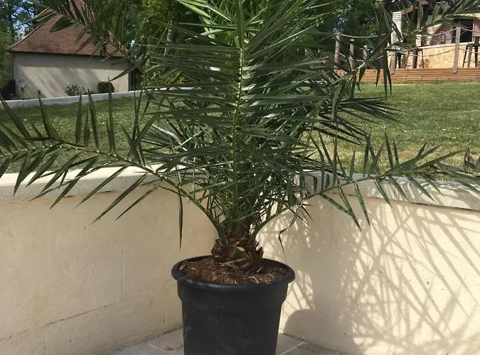 La Forestine 公寓 贝尔热拉克