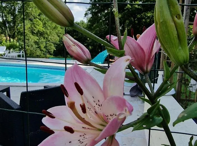 公寓 La Forestine *