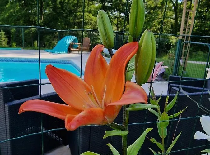 公寓 La Forestine 贝尔热拉克